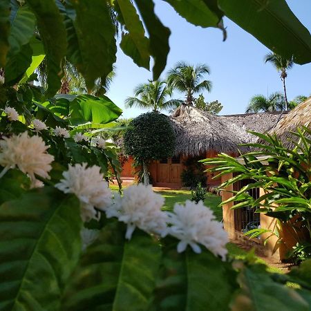 Solazul Bed & Breakfast Las Galeras Exterior foto