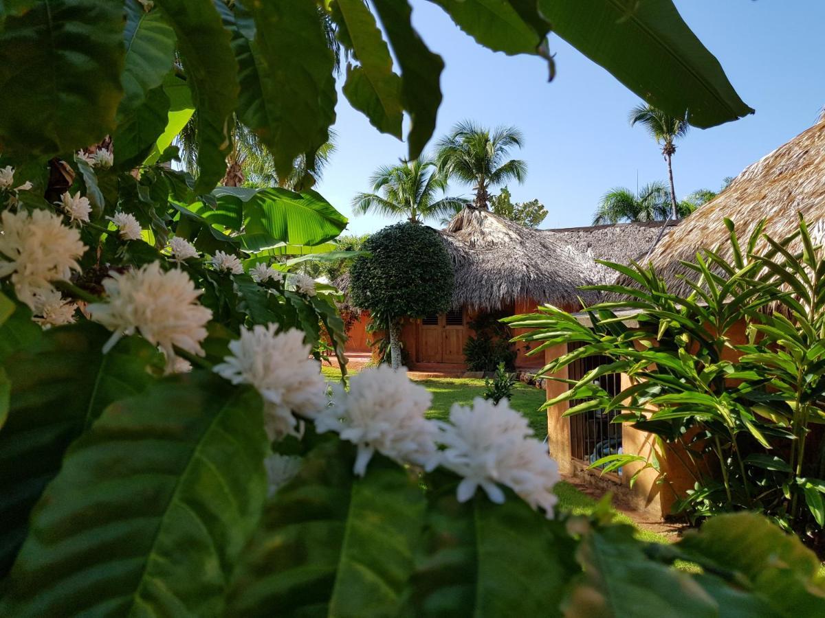 Solazul Bed & Breakfast Las Galeras Exterior foto