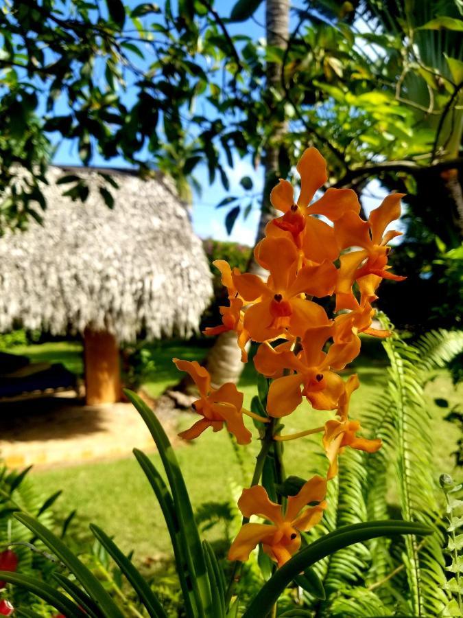 Solazul Bed & Breakfast Las Galeras Exterior foto