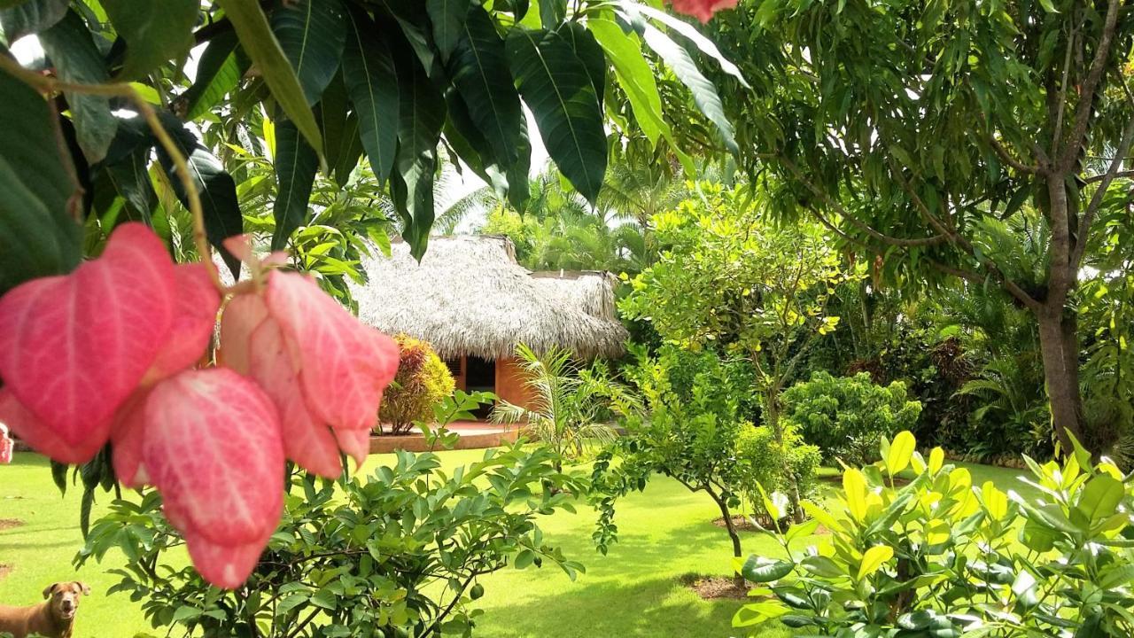 Solazul Bed & Breakfast Las Galeras Exterior foto