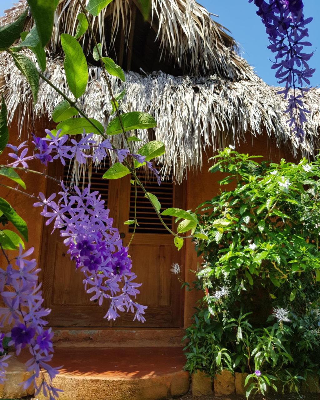 Solazul Bed & Breakfast Las Galeras Exterior foto